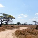 TZA MAR SerengetiNP 2016DEC24 ThachKopjes 002 : 2016, 2016 - African Adventures, Africa, Date, December, Eastern, Mara, Month, Places, Serengeti National Park, Tanzania, Thach Kopjes, Trips, Year